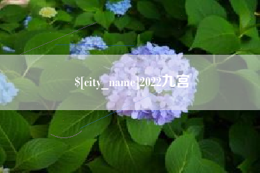 沙洋2022九宫