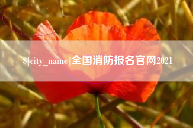 沙洋全国消防报名官网2021