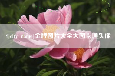 沙洋金牌图片大全大图卡通头像