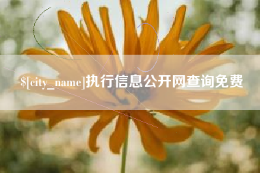 沙洋执行信息公开网查询免费