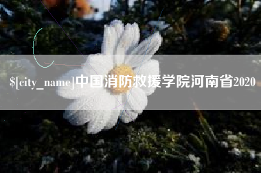 沙洋中国消防救援学院河南省2020